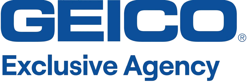 91022f178e8747b59a24dab853386dc2-scaled__1_-removebg-preview geico